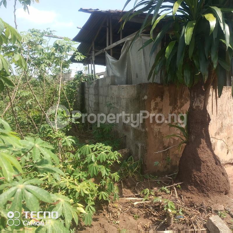 Land for sale Amakabor Avu By White House Owerri Imo - 0