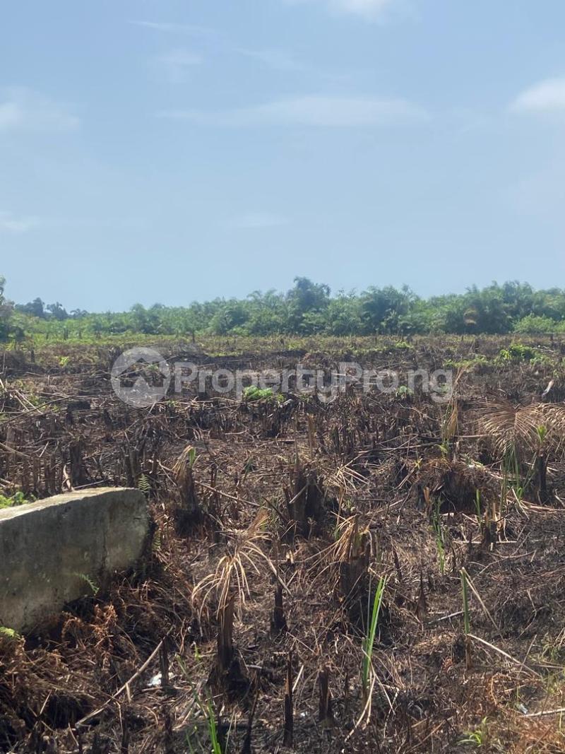 Land for sale Fountain Spring Ville Sangotedo Ajah Lagos