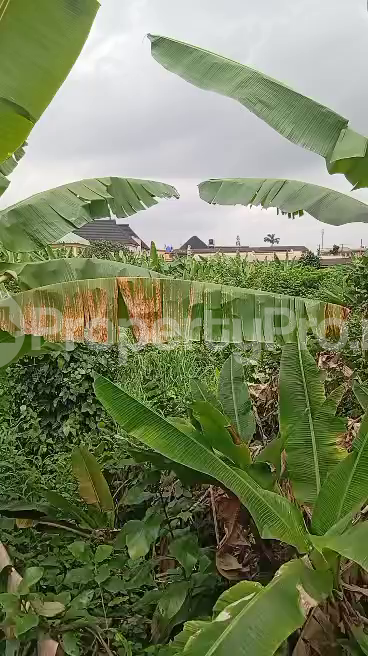 Land for sale Ipaja Ipaja Lagos - 0