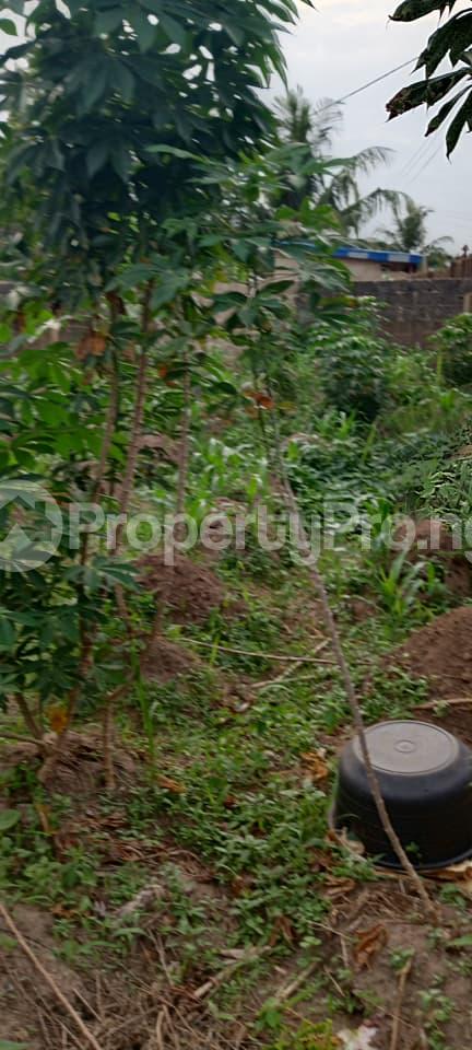 Land for sale Ofada Obafemi Owode Ogun