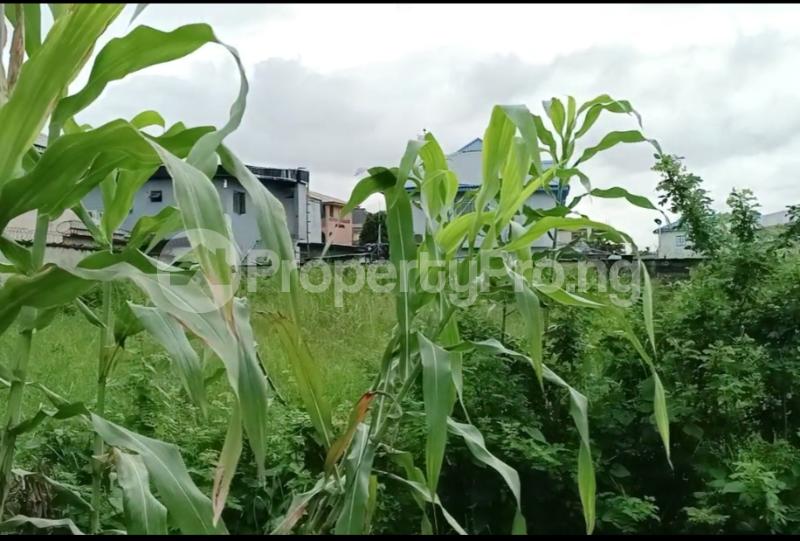 Land for sale Badore Ajah Lagos - 0