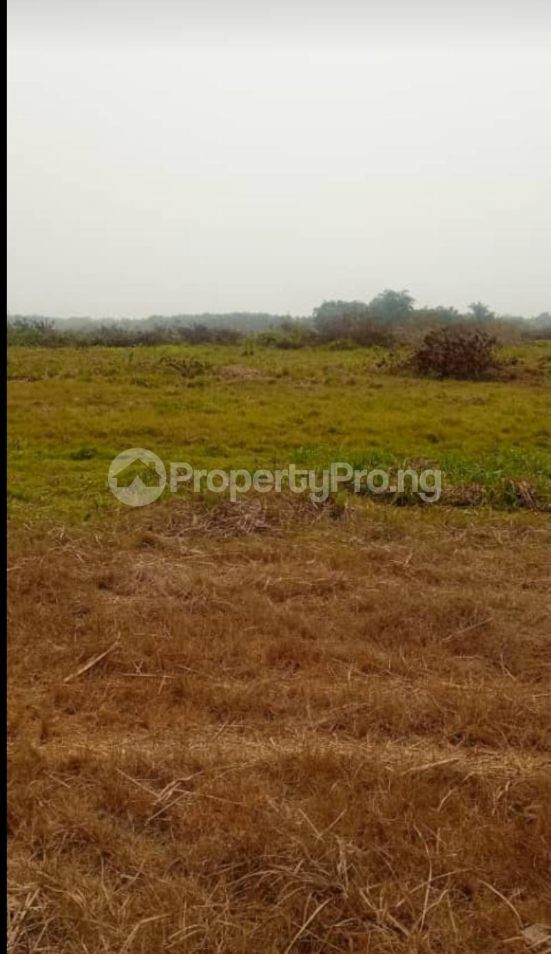 Land in Monastery road Sangotedo Lagos Land for sale in sangotedo