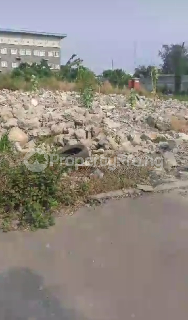 Land for sale Awolowo Road Ikoyi Lagos - 0