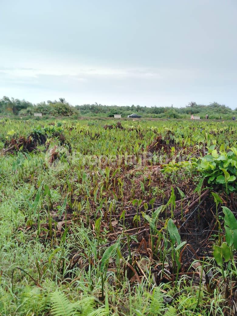 Land for sale Masters Ville Estate,abule Parropo Town Awoyaya Ajah Lagos