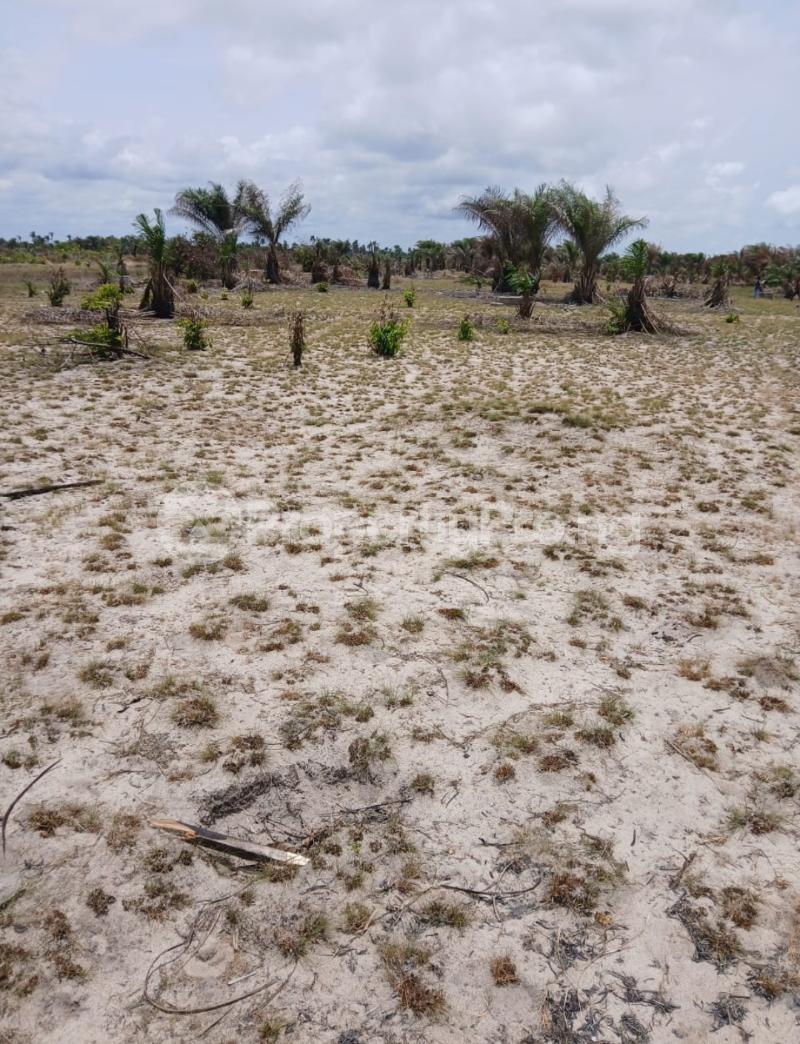 Land for sale Imosan Village, Off Igbogun Road, Ibeju Lekki Ibeju-Lekki Lagos