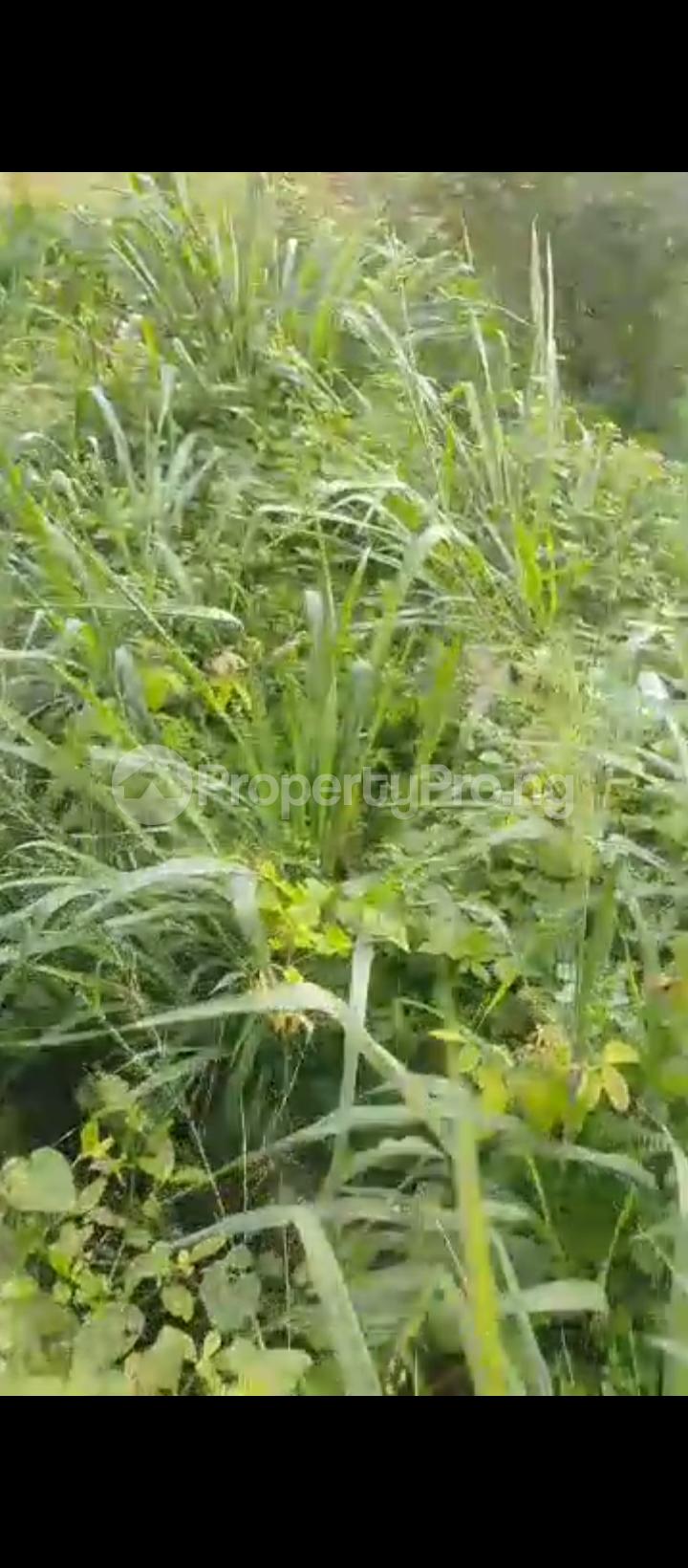 Land for sale Iju Lagos