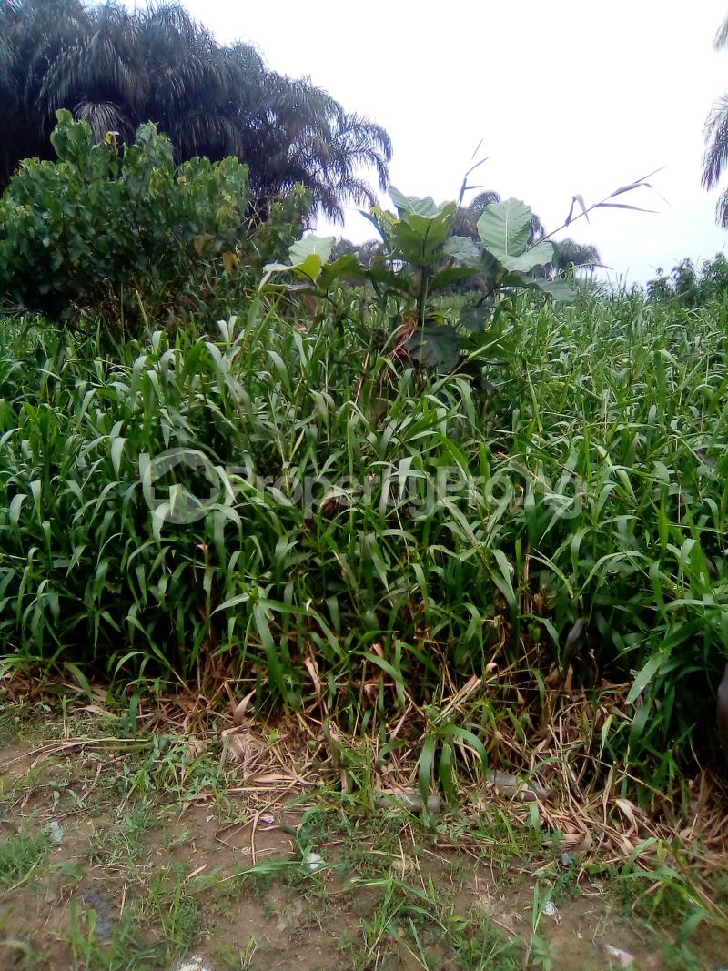 Land for sale Egbeleukwu, Umuona Chokota Along Ebele 4 Etche Rivers