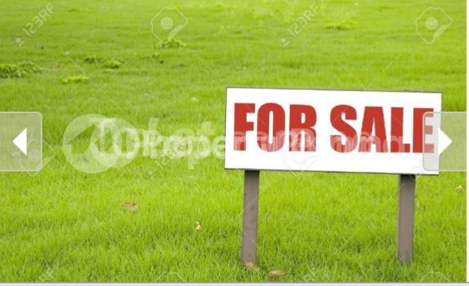 Land for sale Opposite Right Wing Filling Station Izuoma Asa Oyigbo Oyigbo Rivers