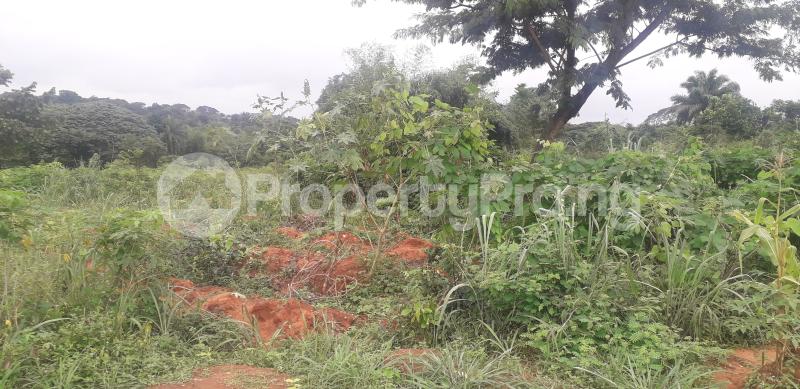 Land for sale Unzik School Gate Ifite Awka Awka South Anambra