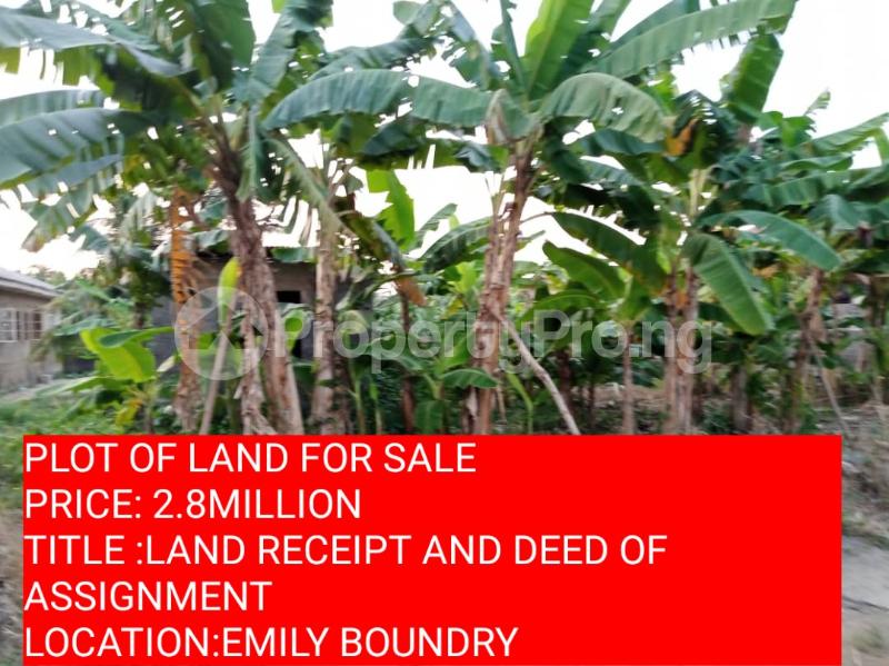 Land for sale Emily Estate Igbogbo Ikorodu Lagos