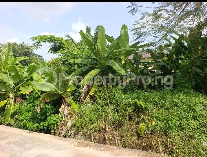 Land for sale Ikolaba Estate Ikolaba Ibadan Ikolaba Ibadan Oyo