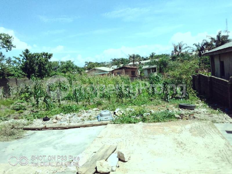 Land for sale Olunloyo, Agbede Agric Ikorodu Lagos