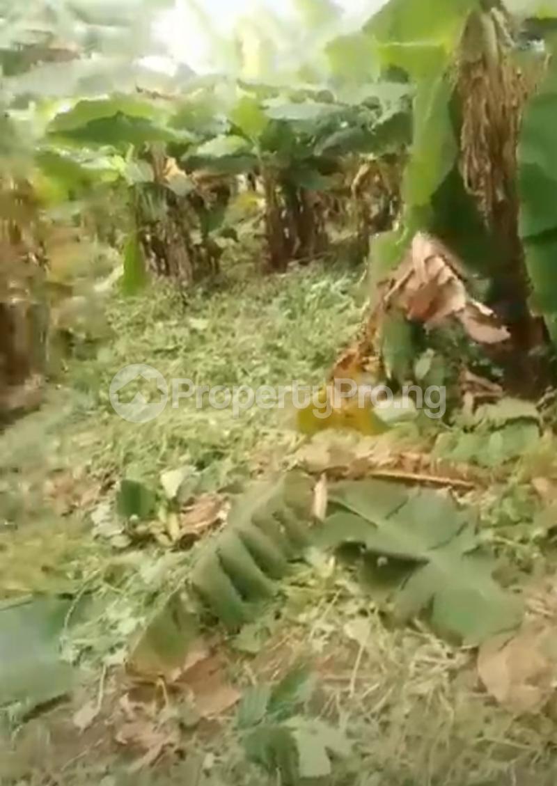 Land for sale Olowofela Magboro Obafemi Owode Ogun