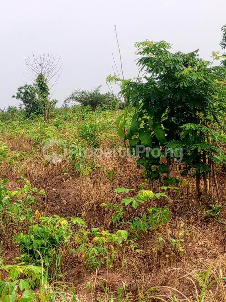 Land for sale Epe Road Epe Lagos - 0