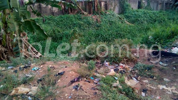 Land for sale Richfield Estate, Peter Momoh Ajao Estate Isolo Lagos