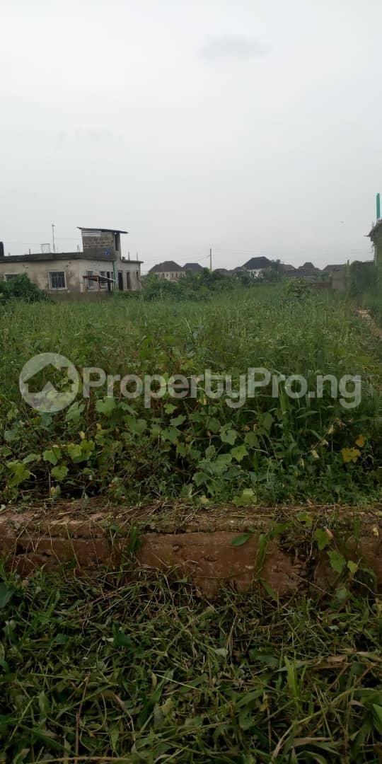 Land for sale Banana Layout, Isheri Oshun, After Bucknor, Ejigbo Ejigbo Ejigbo Lagos - 0