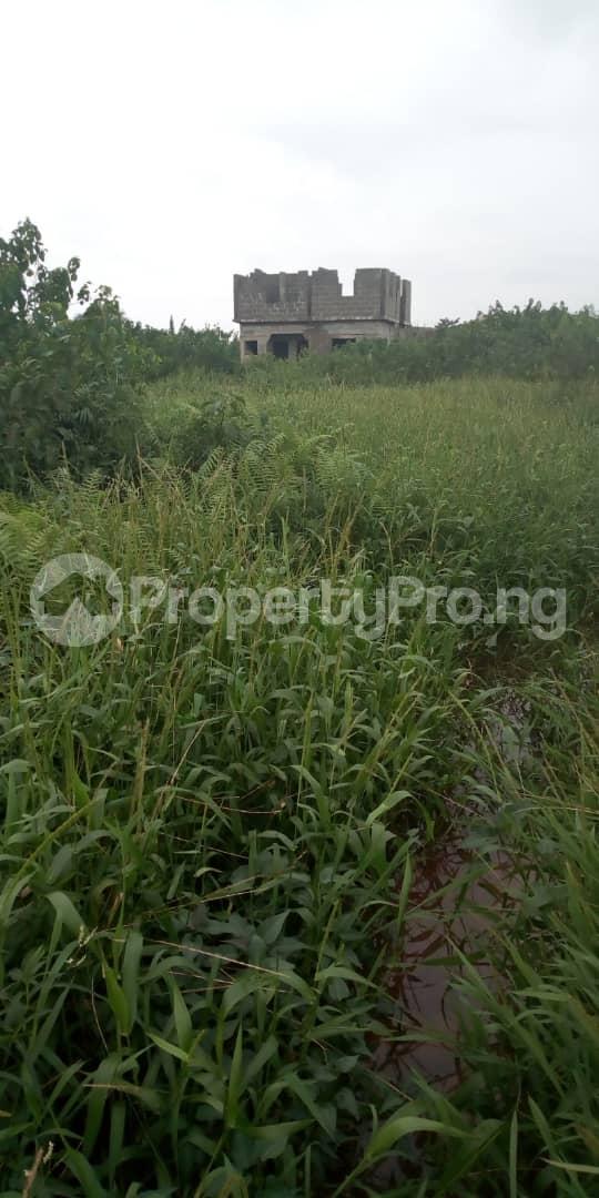 Land for sale Zenith Estate, Isheri Oshun, After Bucknor Ejigbo Ejigbo Ejigbo Lagos - 0