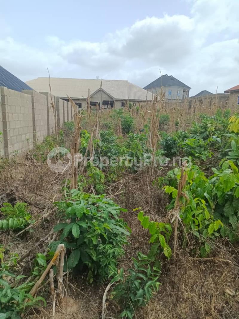 Land in Akobo Ibadan Oyo Land for sale in ibadan Land in ibadan