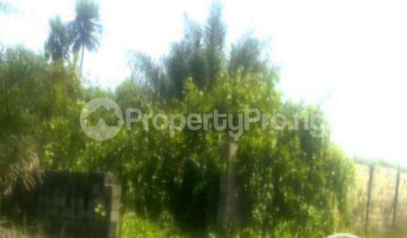 Land for sale Okun Ajah Ogombo Ajah Lagos - 0