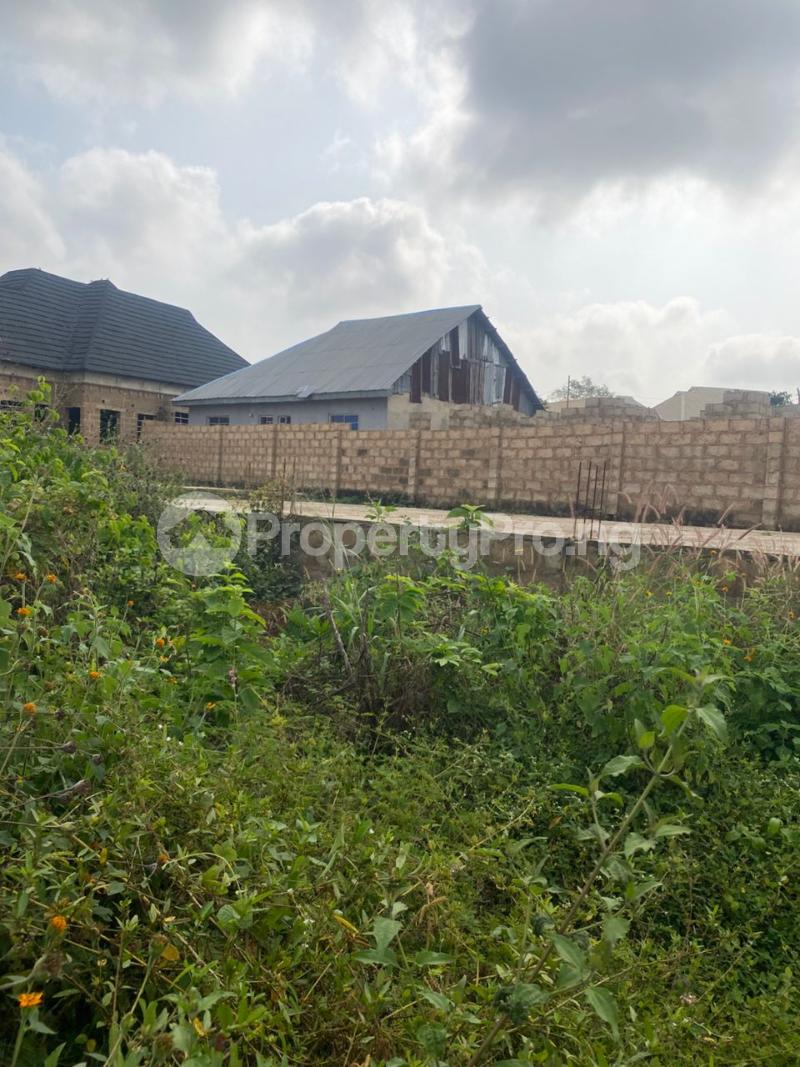 Land for sale Oloola Lannisa Road Off Asunle Tipper Garage Akala Express Ibadan Ibadan Oyo - 0
