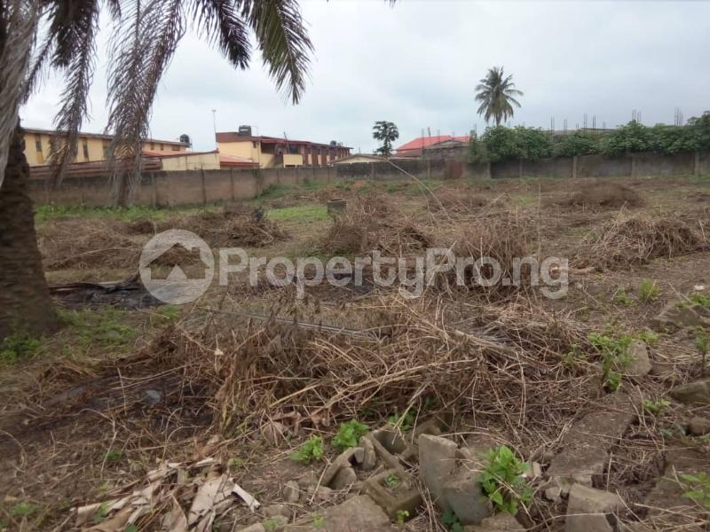 Land for sale Alalubosa Area, Brewery Ibadan Egbeda Oyo - 6