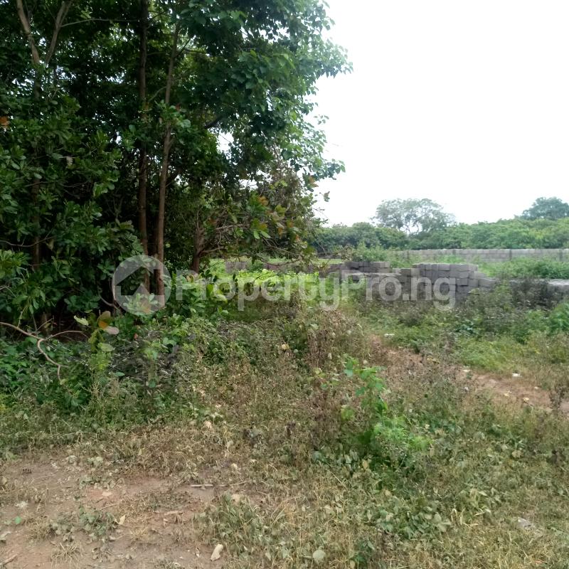 Land for sale Mabuchi/jahi District Along Ahmadu Bello Way Immediately Banex Bridge Mabushi Abuja