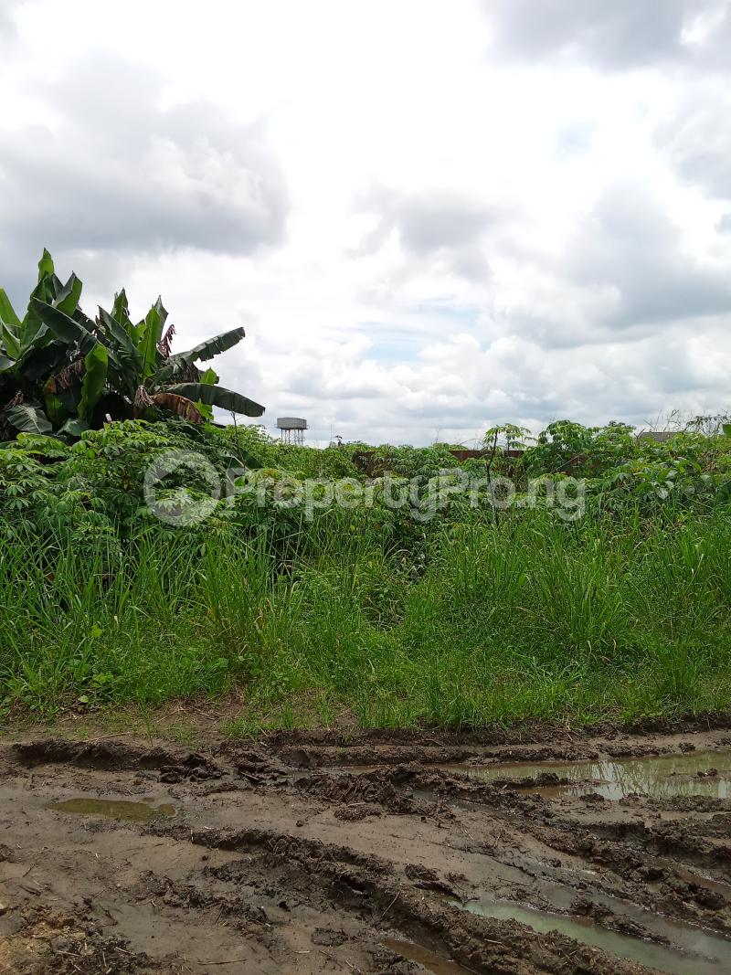 Land for sale Uyo Akwa Ibom