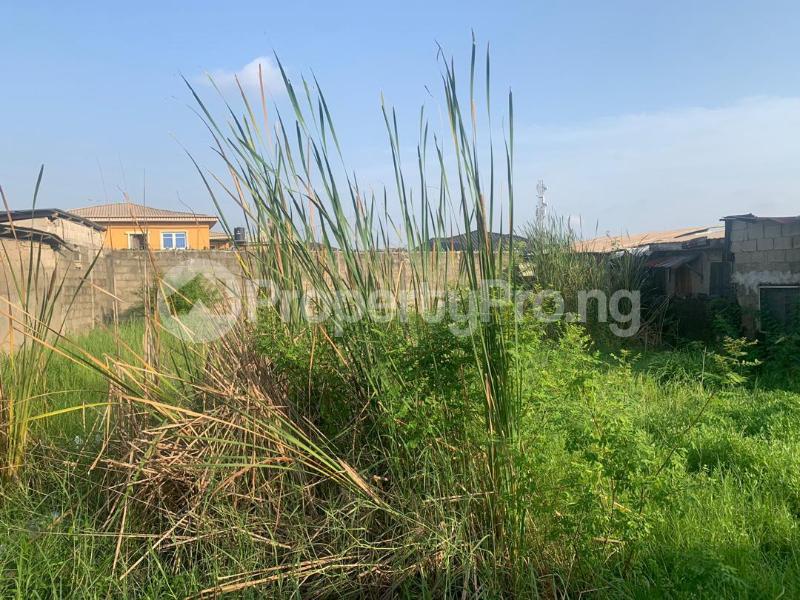 Land for sale Oshofolarin Ilaje Bariga Badagry Badagry Lagos