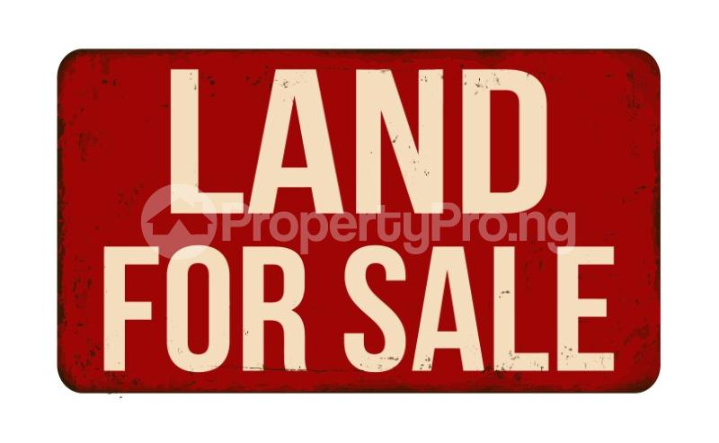 Land for sale At Freedom Way Lekki Phase 1 Lekki Lagos