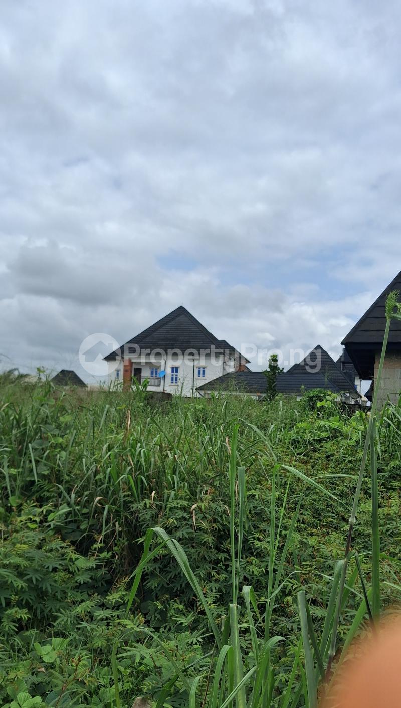 Land for sale Portharcourt Road, Owerri Imo - 0