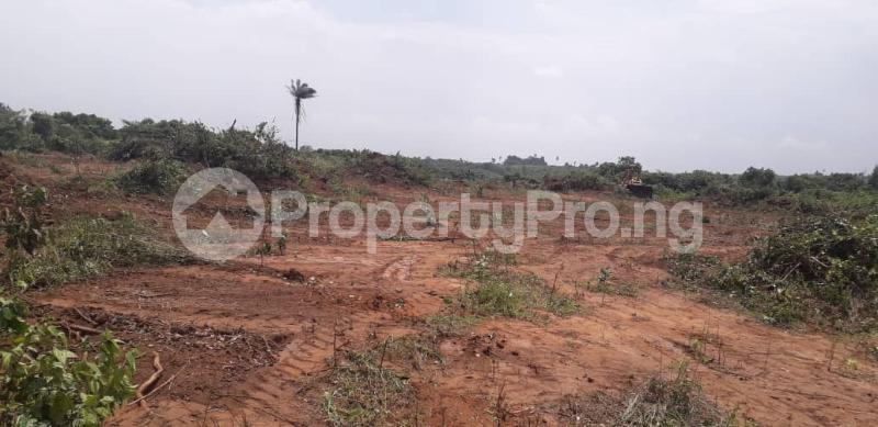 Land for sale Noforija Epe Road Epe Lagos - 0