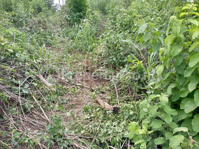 Land for sale Ajura Obafemi Owode Ogun