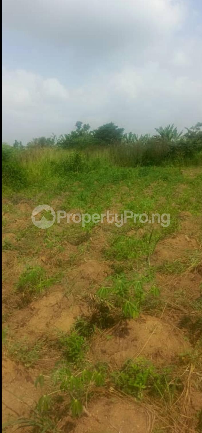 Land for sale Along Adebayo/podo Not Far To Guru Under Bridge Ibadan Akala Express Ibadan Oyo