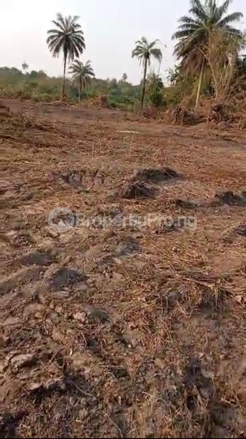 Land for sale Oyo Ode Ojoo Ibadan Oyo