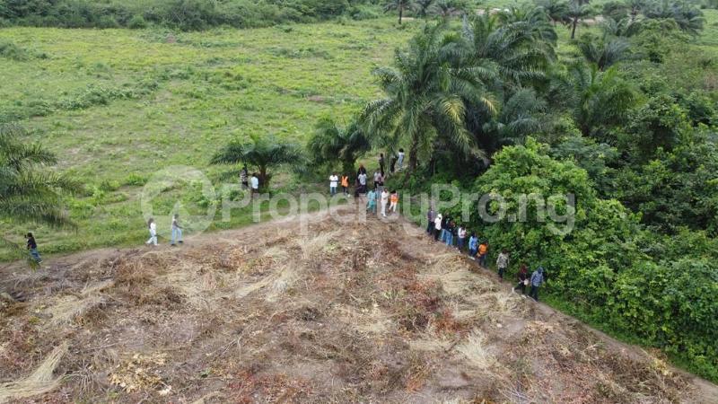 Land for sale Ososa Apaledo/ Apex Garden Estate/ Flour Mill Nigeria Ijebu Ode Ijebu Ode Ogun - 4