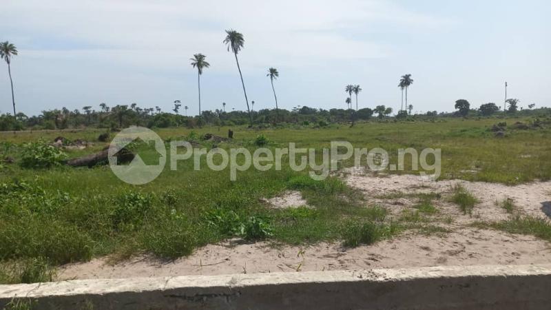Land for sale Otolu Free Trade Zone Ibeju-Lekki Lagos