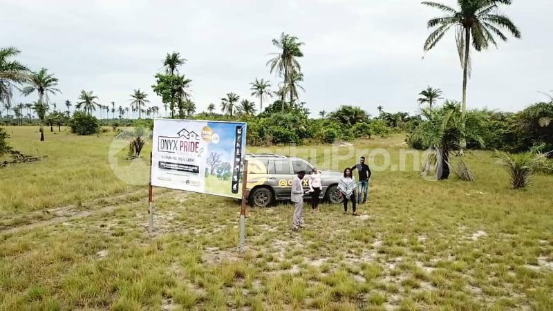 Land for sale Adjacent Lacampaigne Tropicana Beach Resort, Okun Ise/folu, After Eleko Town LaCampaigne Tropicana Ibeju-Lekki Lagos - 7