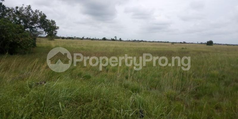 Land for sale Divine Grace Luxury Gardens Alatise Alatise Ibeju-Lekki Lagos