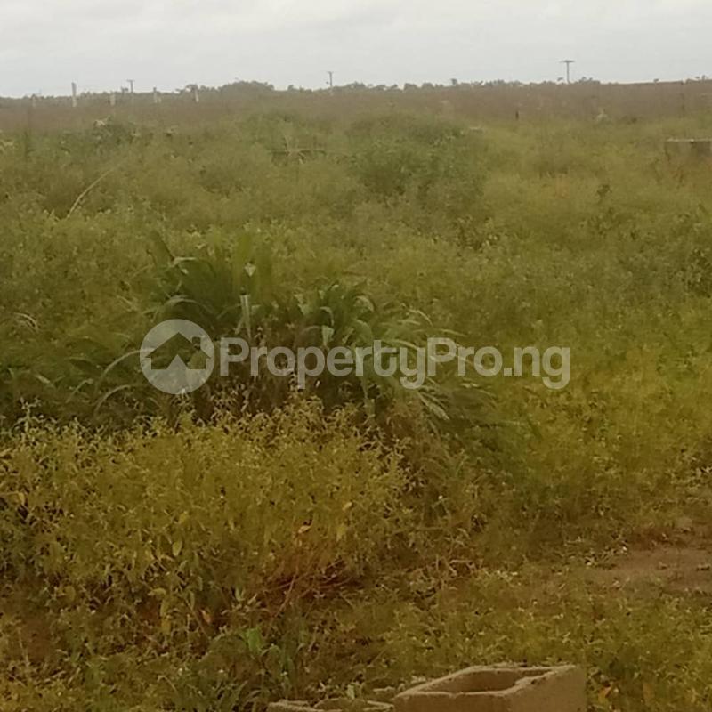 Land in Asaba Delta Land for sale in asaba Land in asaba