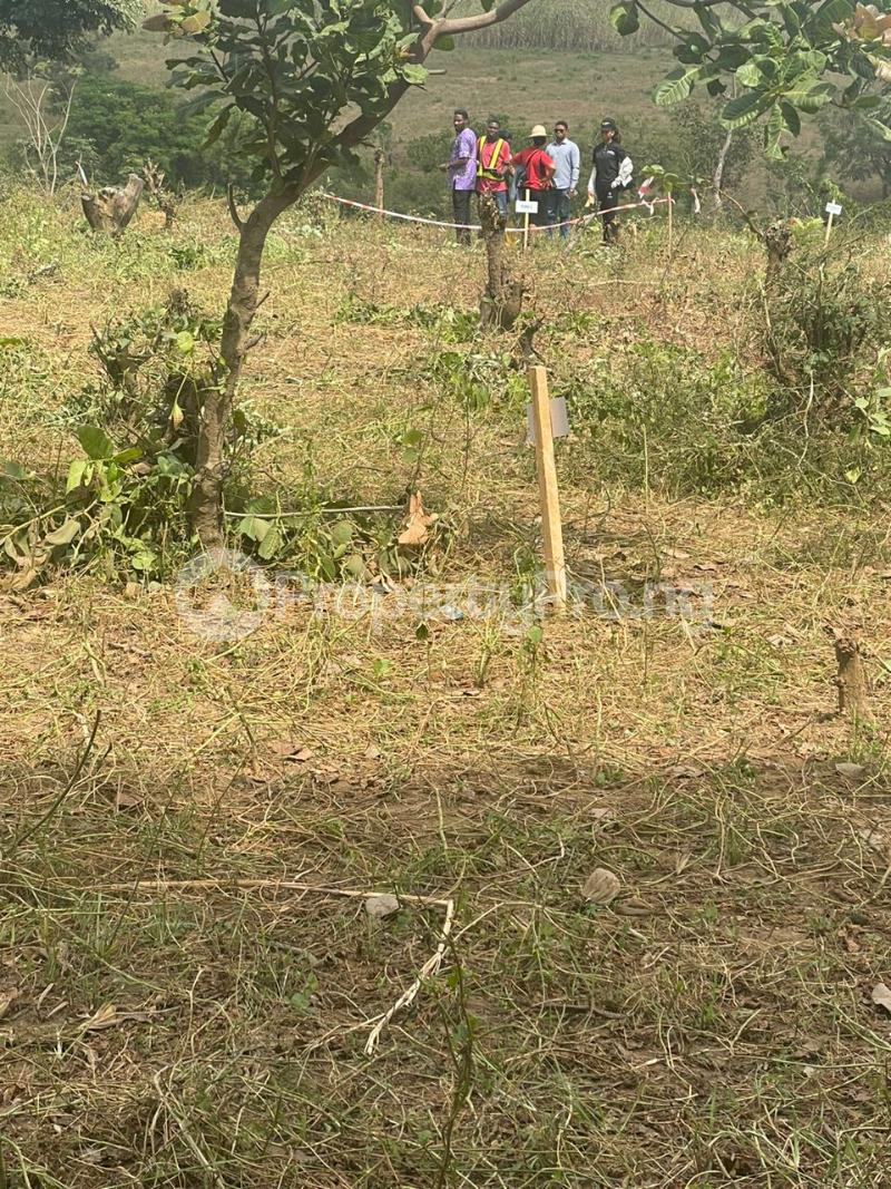 Land for sale Caritas Luxury Homes Phase 4 Akodo Ise Ibeju-Lekki Lagos