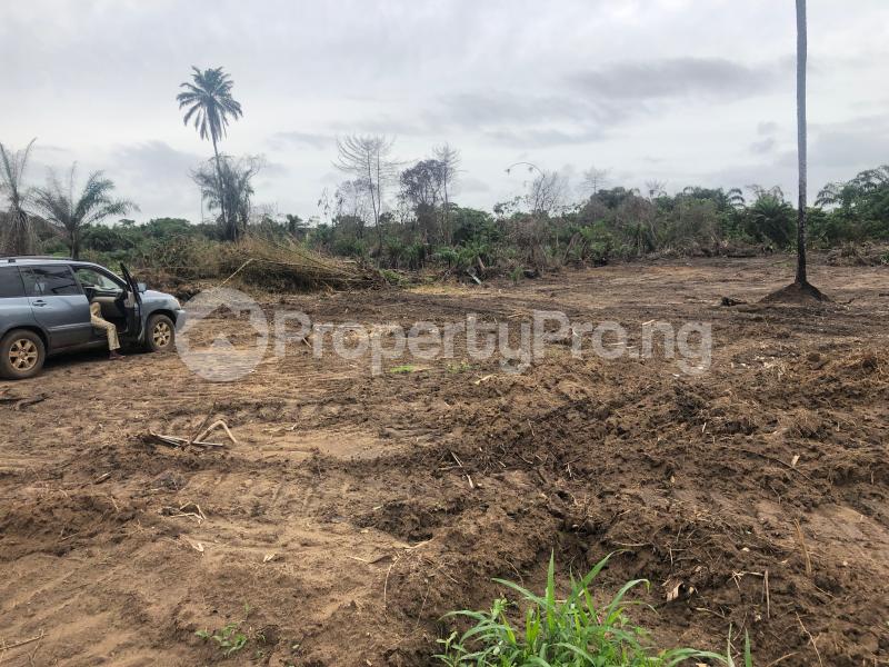 Land for sale Eredo Epe Road Epe Lagos - 6