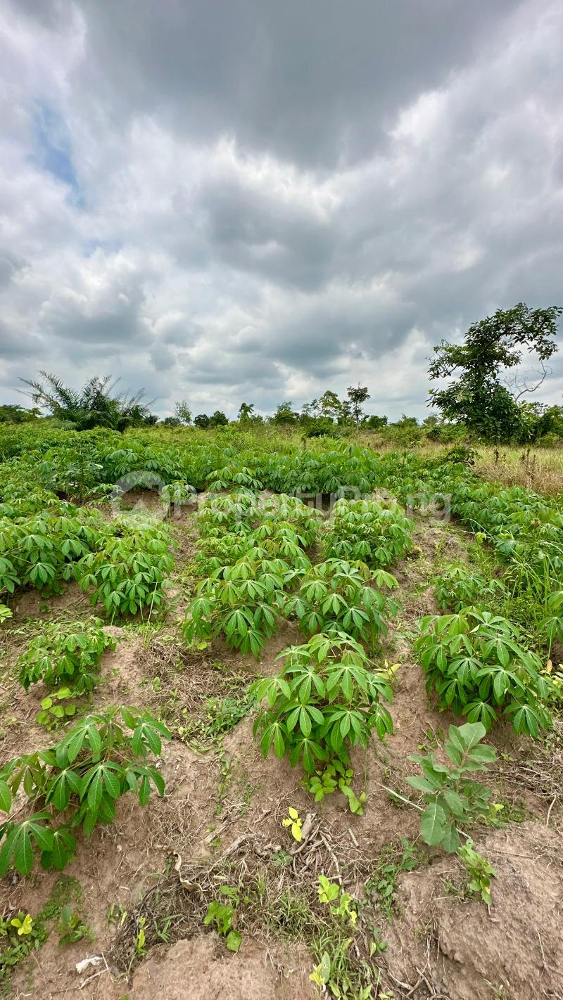 Land for sale Off Funaab Alabata Abeokuta Ogun - 0