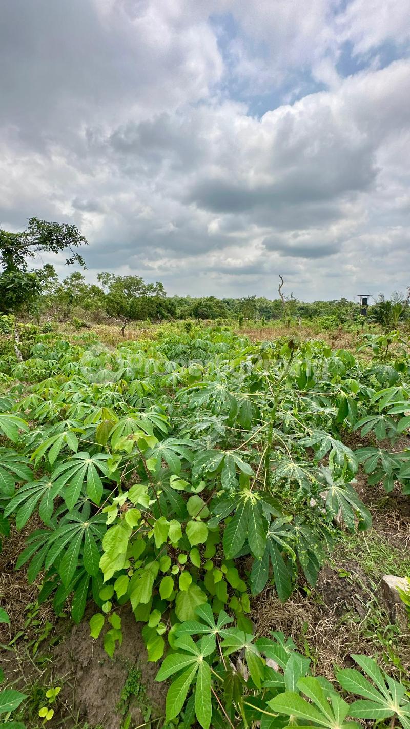 Land for sale Off Funaab Alabata Abeokuta Ogun - 0
