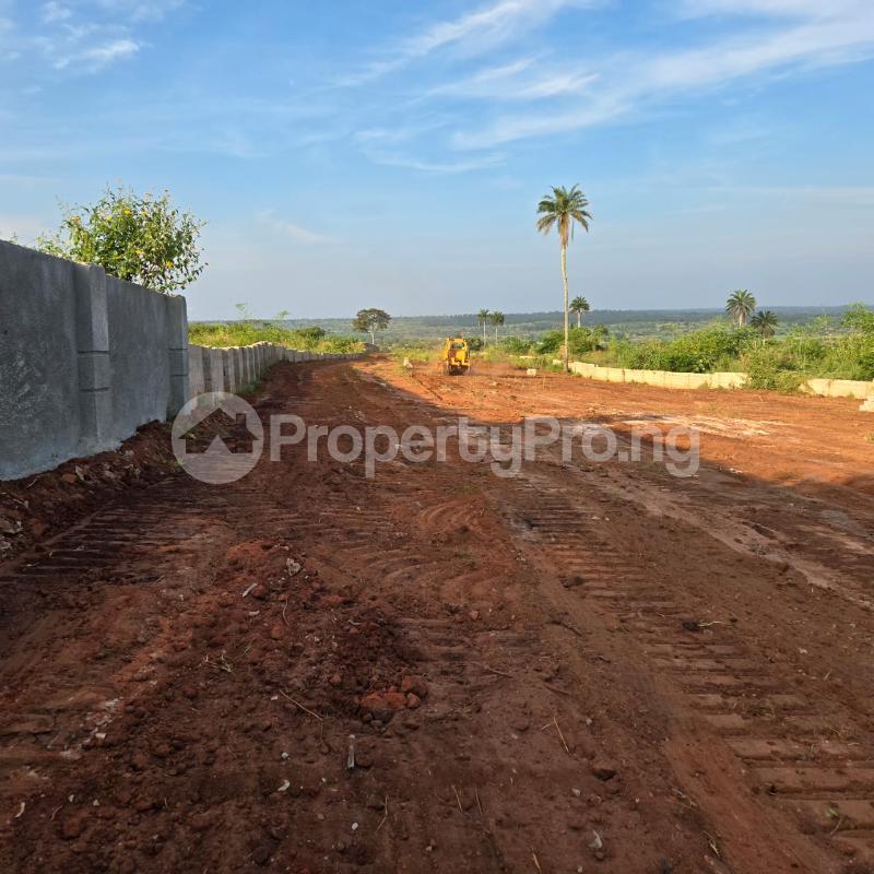 Land for sale By Asaba Benin Express Asaba Delta - 0