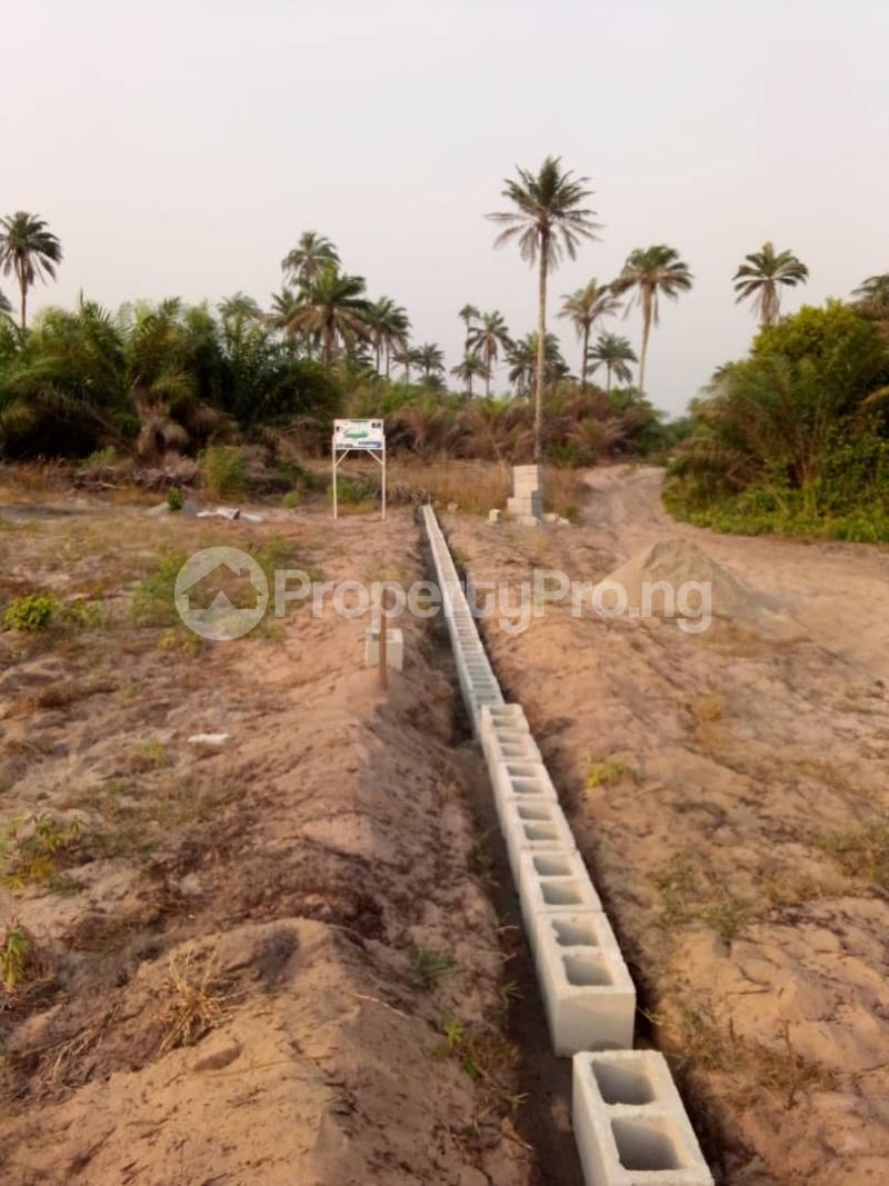 Land in Sagamu Ogun Land for sale in sagamu Land in sagamu PropertyPro Nigeria