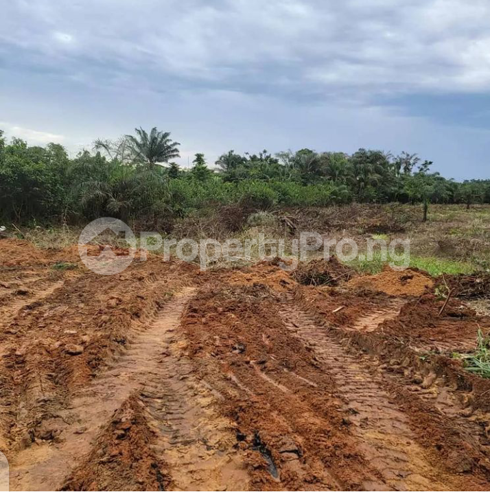 Land in Epe Road Epe Lagos Land for sale in epe Land in epe