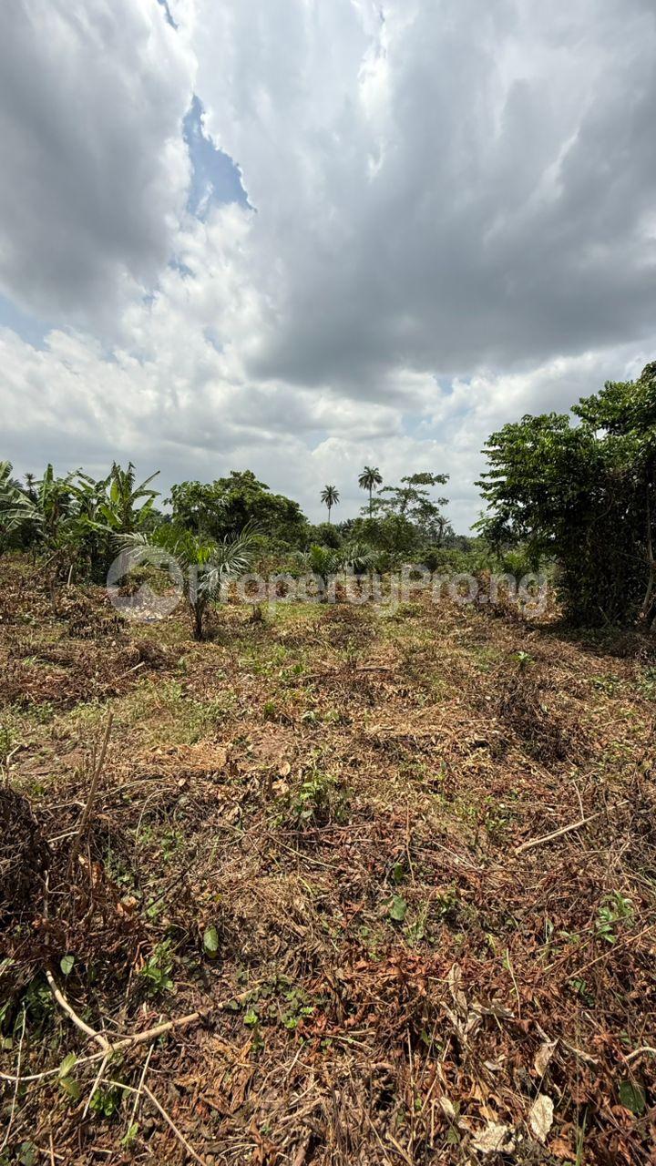 Land for sale Halleluya Gardens Estate With Accessible Road Network, Igbodu, Epe Lagos