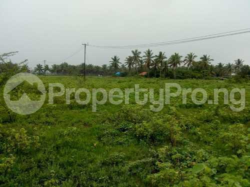 Land for sale Grace Land Luxury Parks And Suites Okun Ise LaCampaigne Tropicana Ibeju-Lekki Lagos - 0