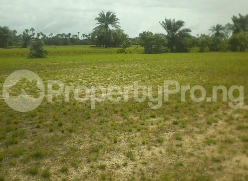 Land for sale Ala Udo Gardens And Parks Phase 1 Onitsha Owerri Road Ogbaoku By Winners Chapel Camp Site Owerri Imo - 0
