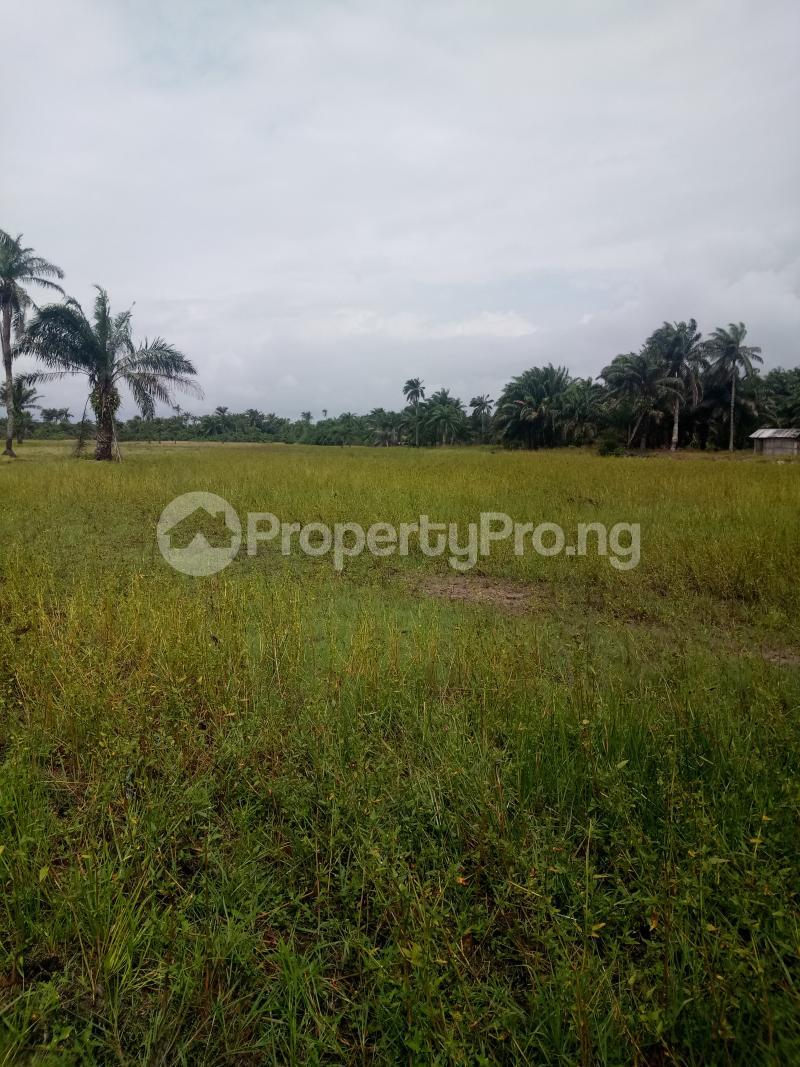 Land for sale Solu Alade Community Via Costal Road, Eleko Eleko Ibeju-Lekki Lagos